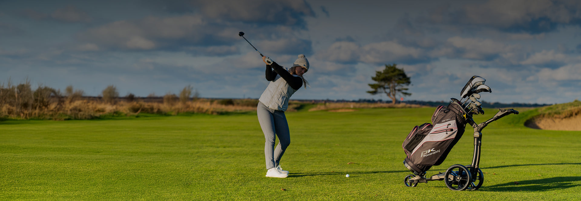 Electric TrolleysHero Image