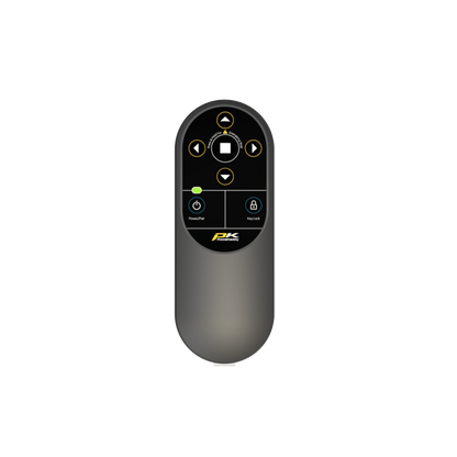 RX1 Replacement Remote